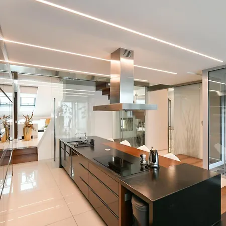 Presidential Penthouse, 303m2, Jacuzzi On Terrace, Sauna, 6bdrm, 4bthrm, Ac, Lift Apartment Prague